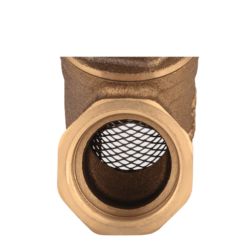 bronze strainer valve