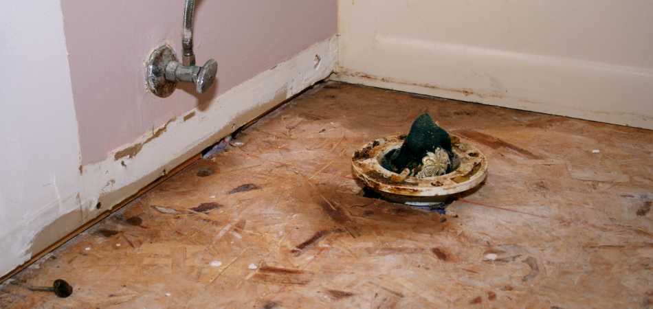 toilet flange