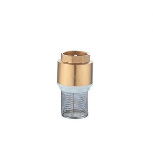 Female Thread Brass Check Valve With Filter