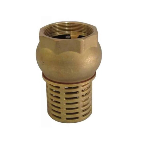 What Is Brass Foot Valve? Importance, Functions, Replacing Premium