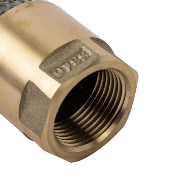 brass foot valve thread