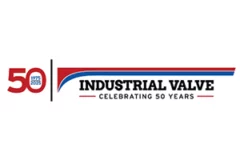 indvalve logo