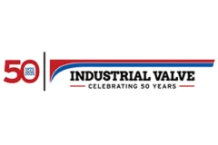indvalve logo